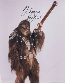 Michael Kingma autograph