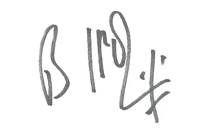 Billy Idol autograph