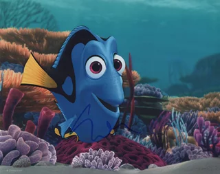 Ellen DeGeneres autograph