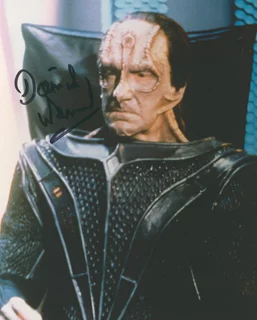 David Warner autograph