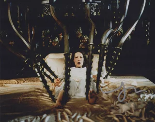 Lili Taylor autograph