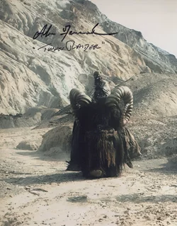 Alan Fernandes autograph