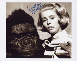 Linda Miller autograph