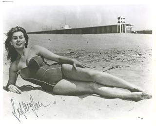 Sophia Loren autograph