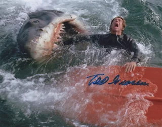 Ted Grossman autograph