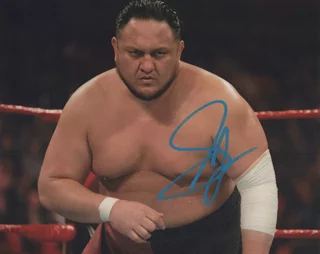Samoa Joe autograph