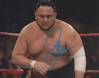 Samoa Joe autograph