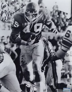 Ed Marinaro autograph