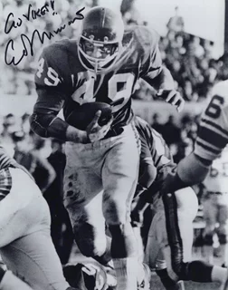 Ed Marinaro autograph
