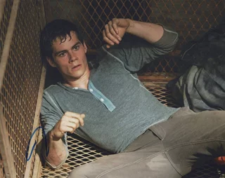 Dylan O'Brien autograph