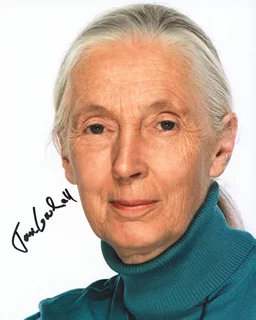 Jane Goodall autograph