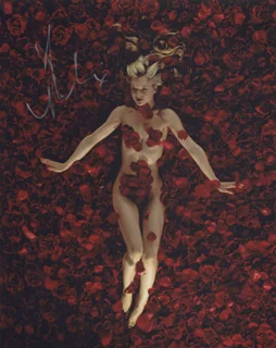 Mena Suvari autograph