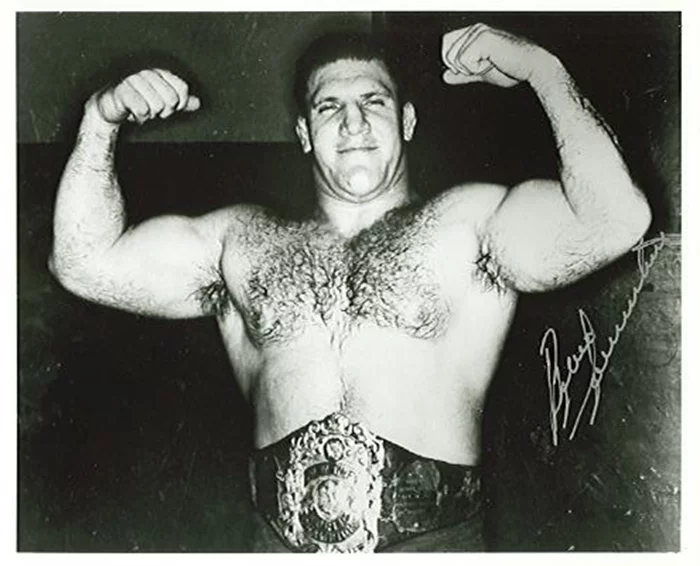 Bruno Sammartino autograph