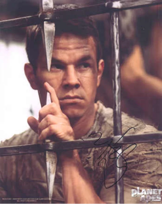 Mark Wahlberg autograph
