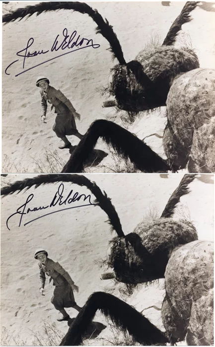 Joan Weldon autograph