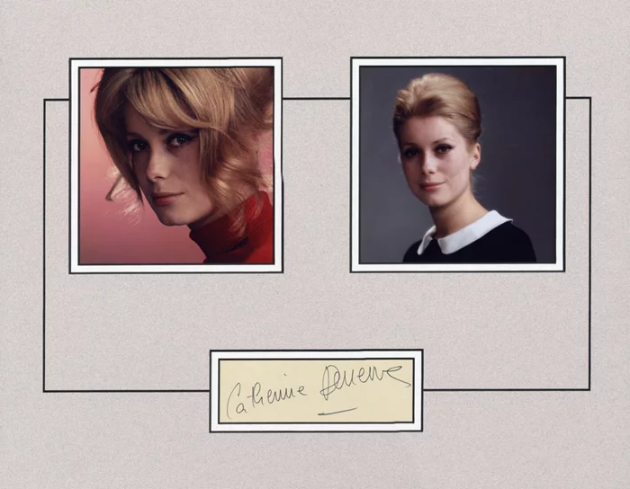 Catherine Deneuve autograph