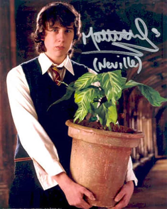 Matthew Lewis autograph