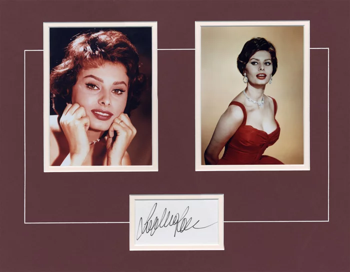 Sophia Loren autograph