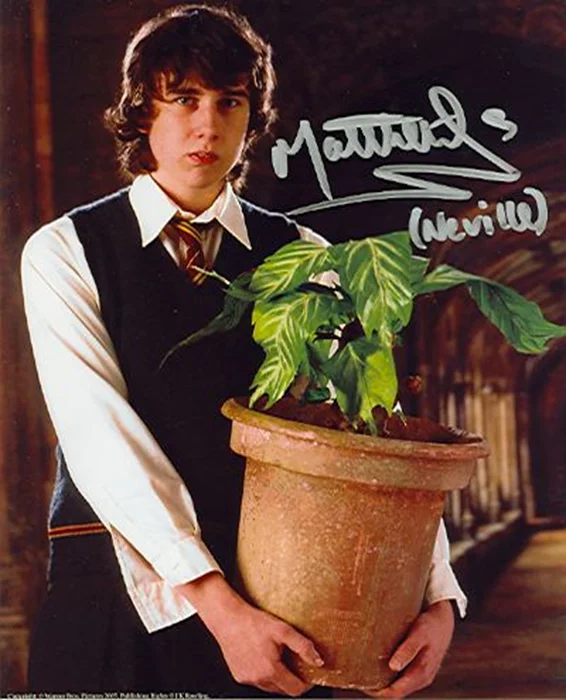 Matthew Lewis autograph