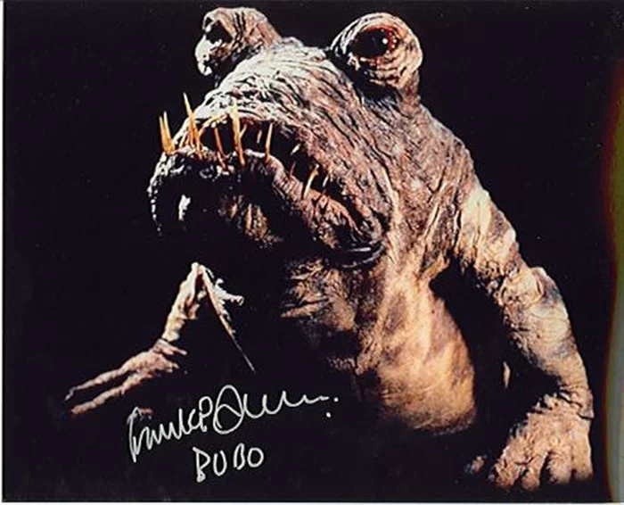 Franki Anderson autograph