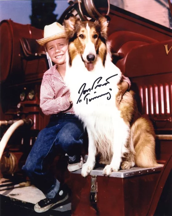 Jon Provost autograph