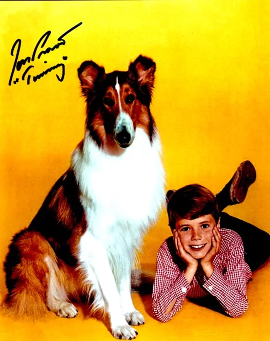 Jon Provost autograph