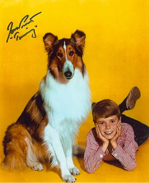 Jon Provost autograph
