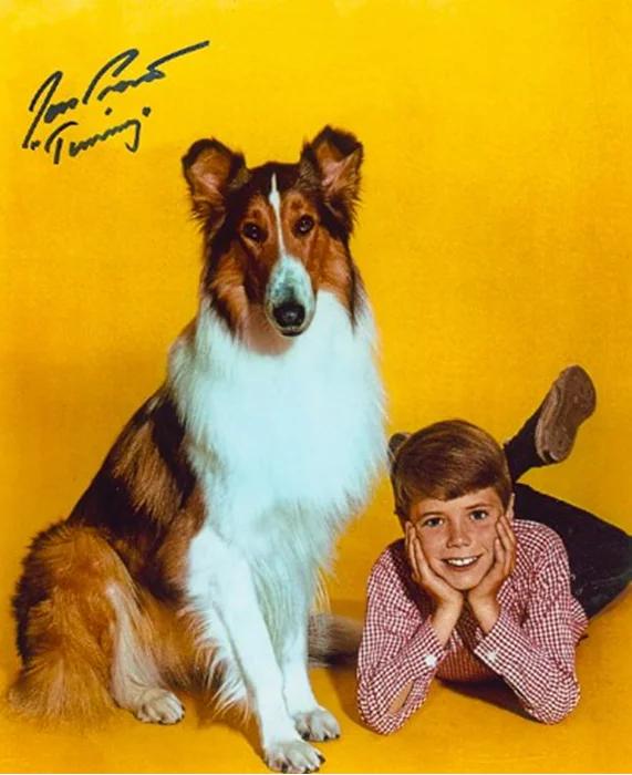 Jon Provost autograph