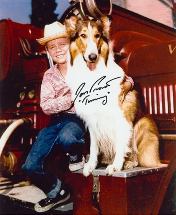 Jon Provost autograph