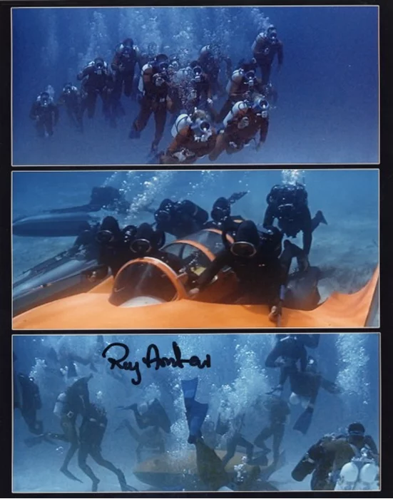 Ray Andrew autograph