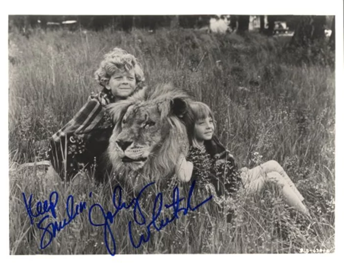 Johnny Whitaker autograph