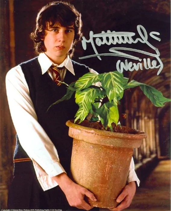 Matthew Lewis autograph