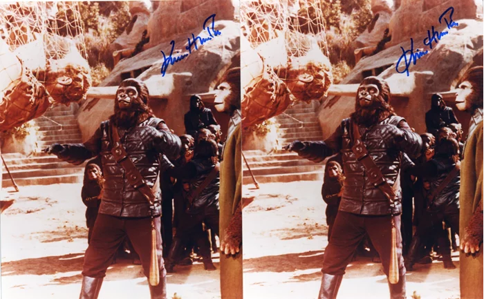 Kim Hunter autograph