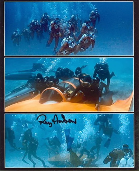 Ray Andrew autograph