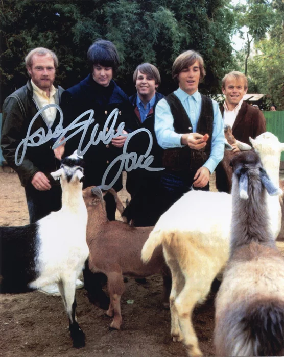 The Beach Boys autograph