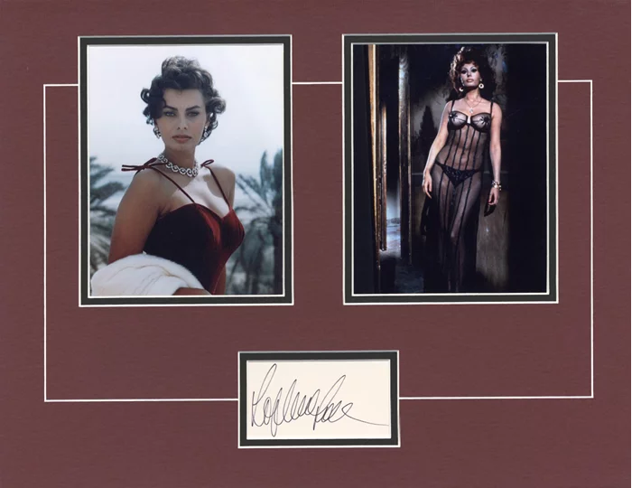 Sophia Loren autograph