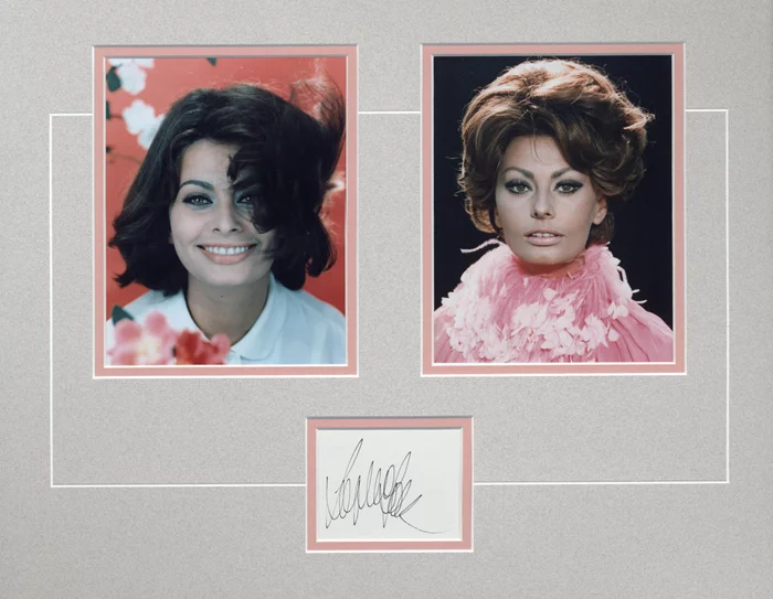 Sophia Loren autograph