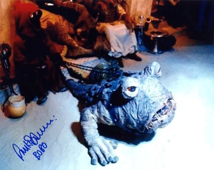 Franki Anderson autograph