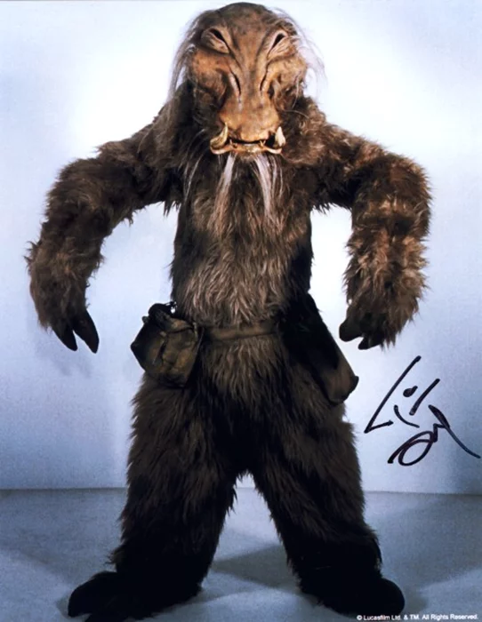 Tim Dry autograph