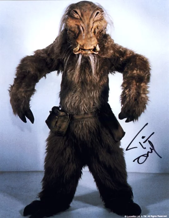 Tim Dry autograph