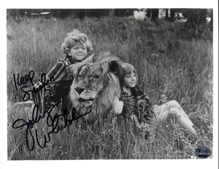 Johnny Whitaker autograph