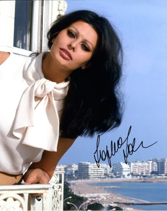 Sophia Loren autograph