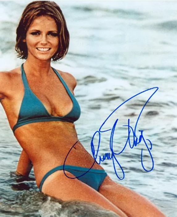 Cheryl Tiegs autograph
