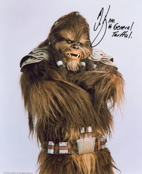Michael Kingma autograph