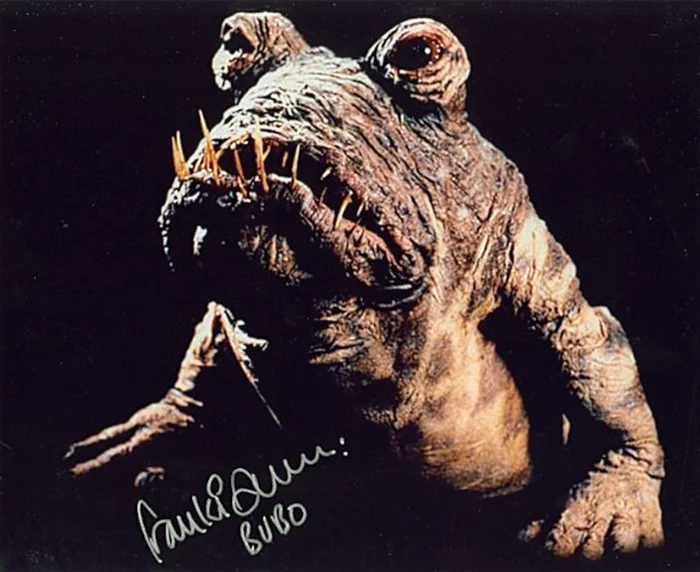 Franki Anderson autograph