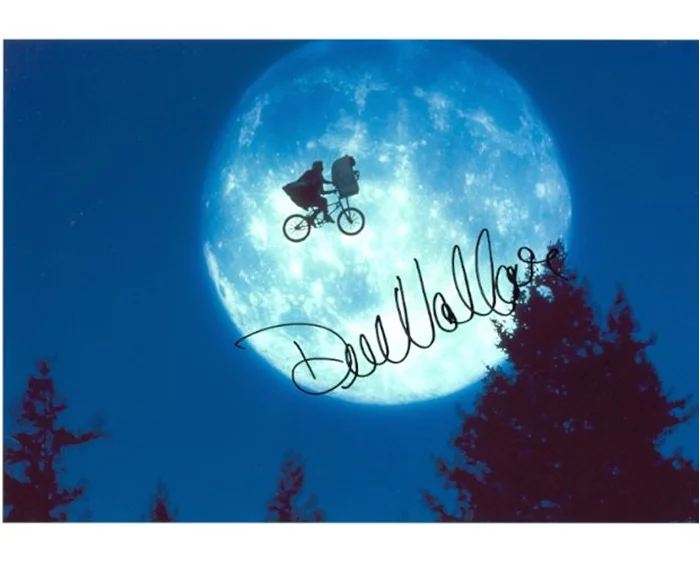 Dee Wallace autograph