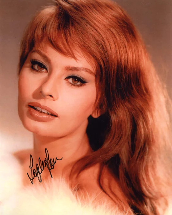 Sophia Loren autograph