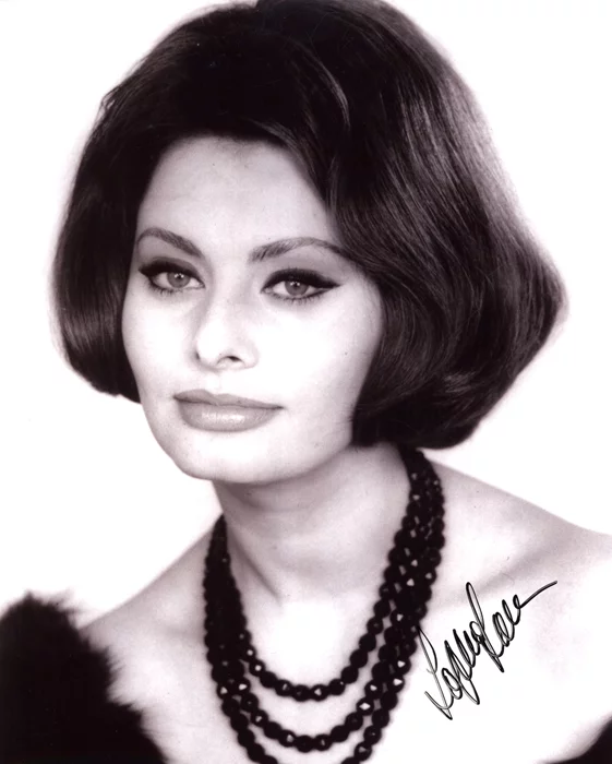 Sophia Loren autograph