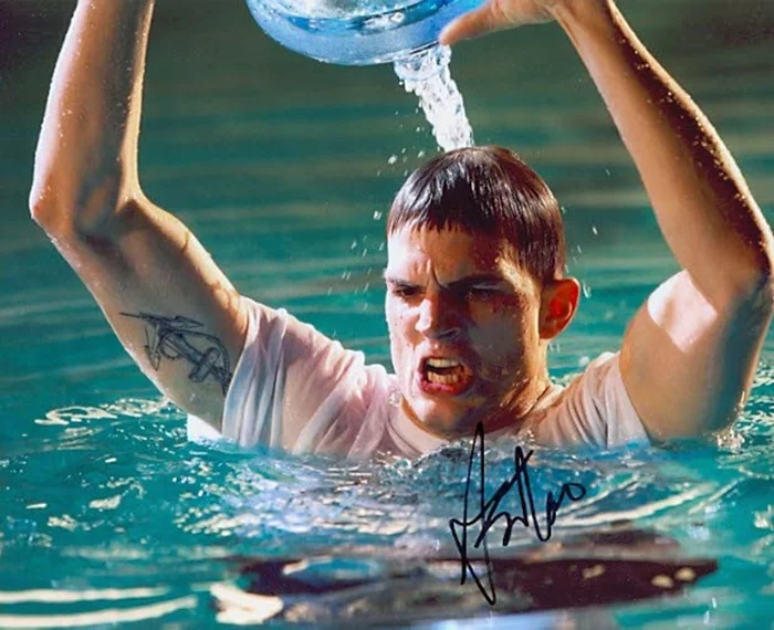 Ashton Kutcher autograph