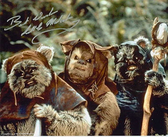 Malcolm Dixon autograph